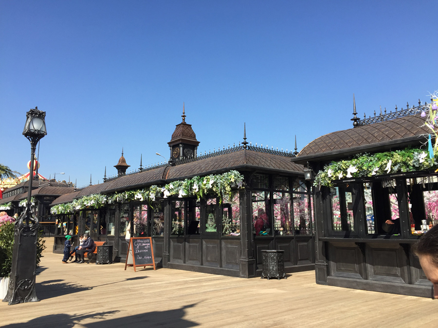 Краска WS-Plast 0008 (темный графит) 2,5 л