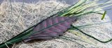 Патина WS-Patina (фиолет) 0,25 л